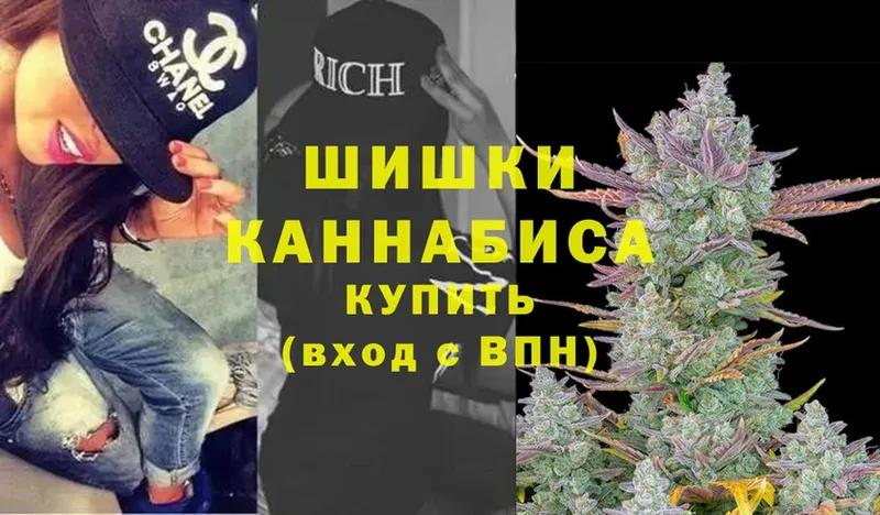 купить наркотик  Балтийск  Бошки Шишки OG Kush 